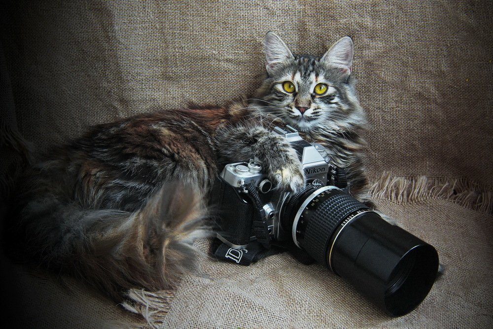 Маруся фотокор