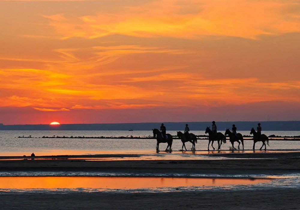 Прогулка на Финском