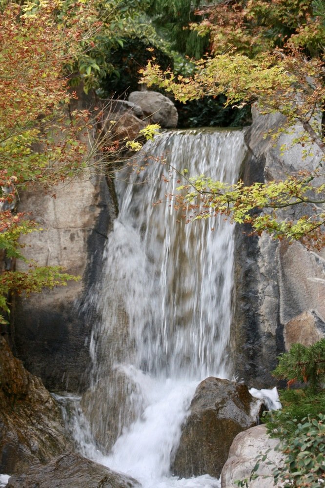 Японская осень