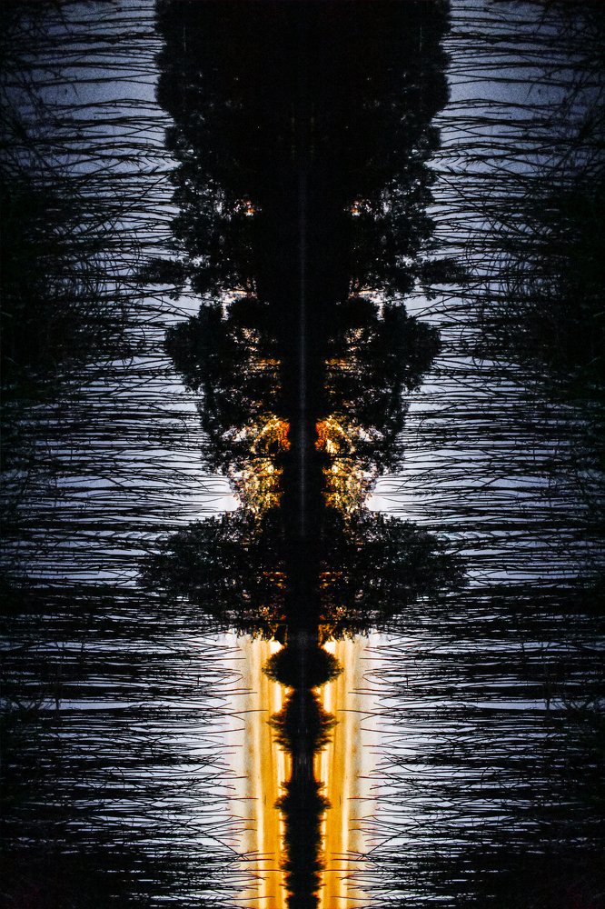 Photograph by Александр Курылёв