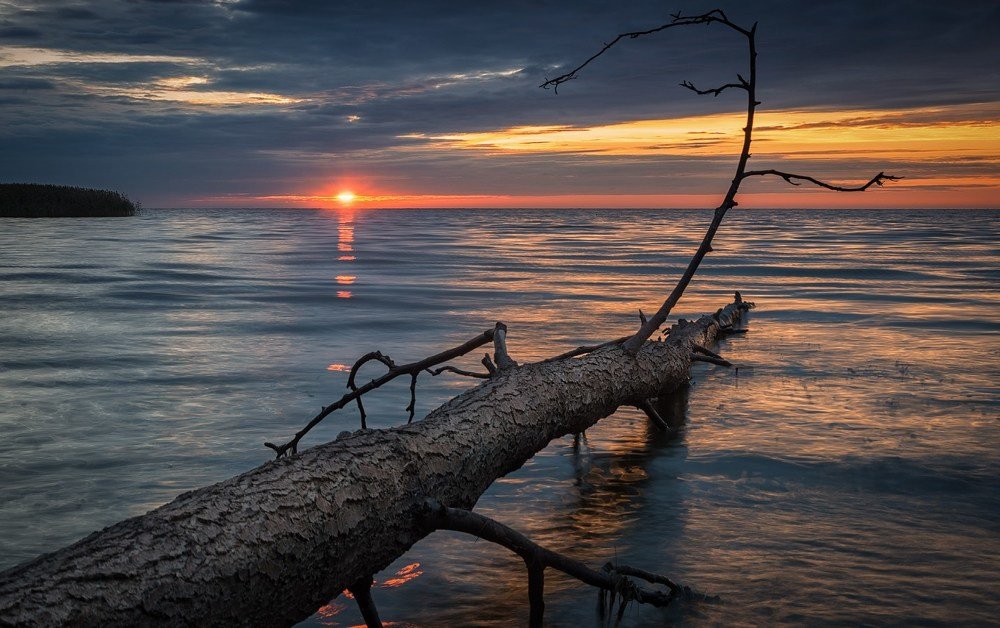 Рассвет над Куршским заливом