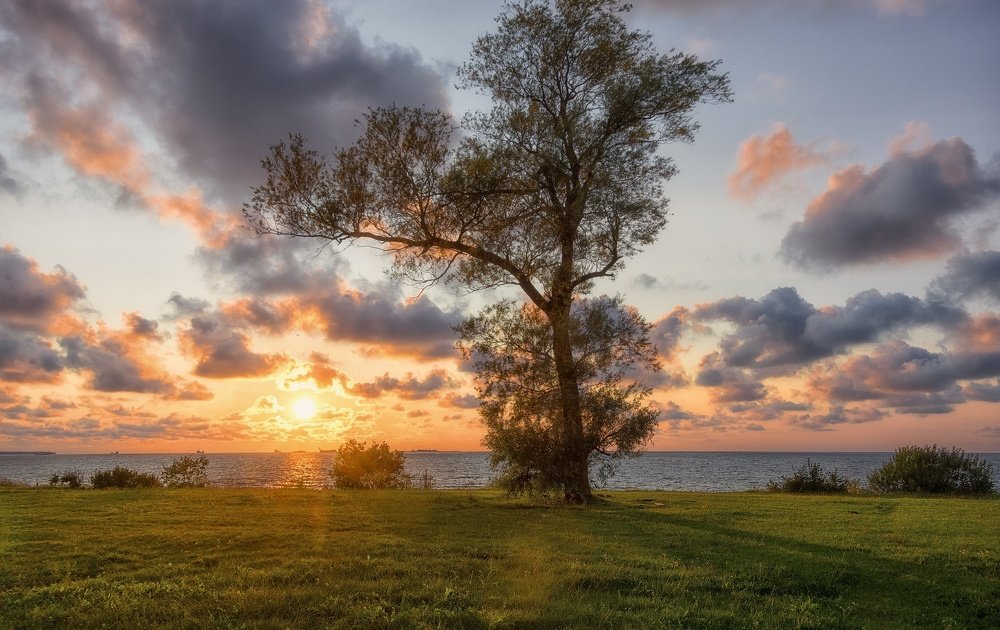 Photograph by Павел Кухоренко