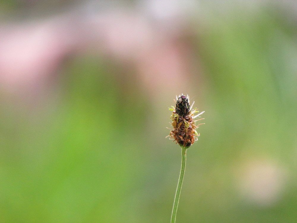 Одиночество