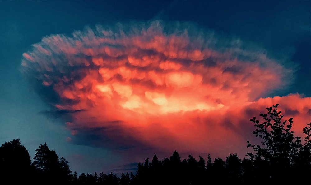 Природа удивляет