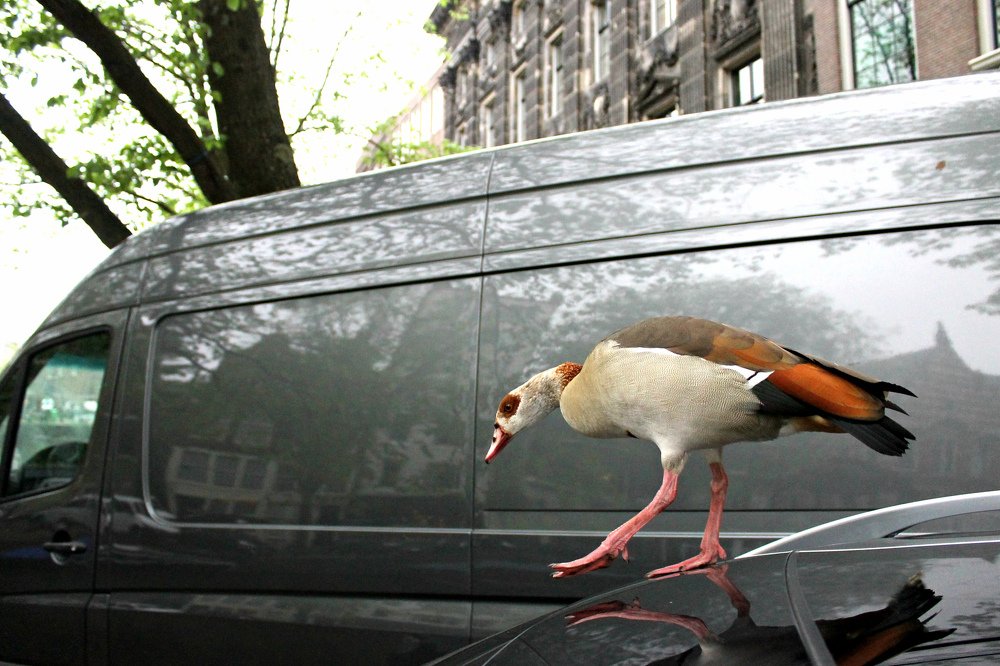 Photograph by Irina Radzinskaya