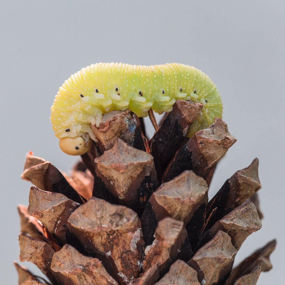 Photograph by Евгений