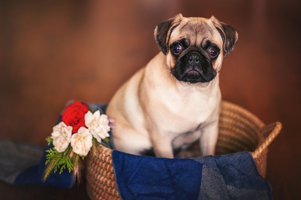 Photograph by Elena Yilmaz