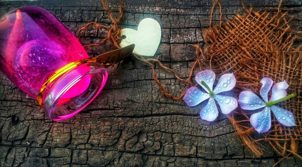 Photograph by Candy_photofactory