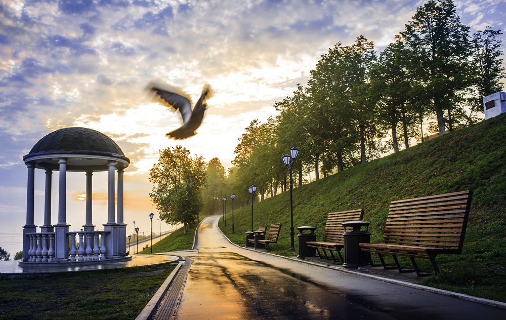 Навстречу рассвету