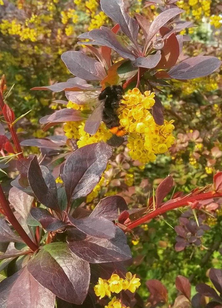 Photograph by Герасимова Дарья