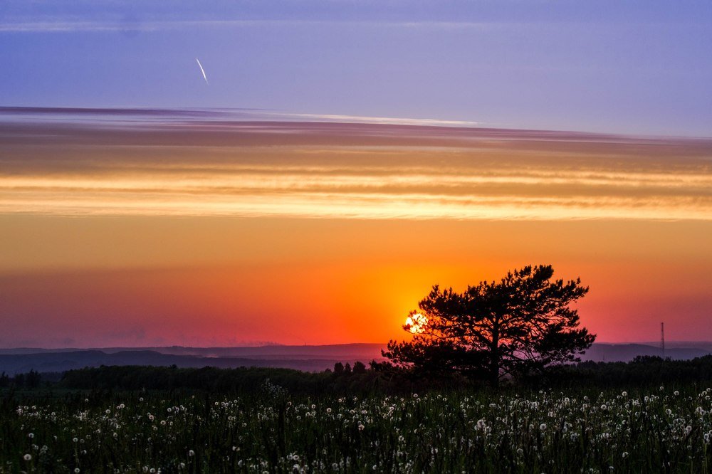 Фотография автора Ольга Гордеева