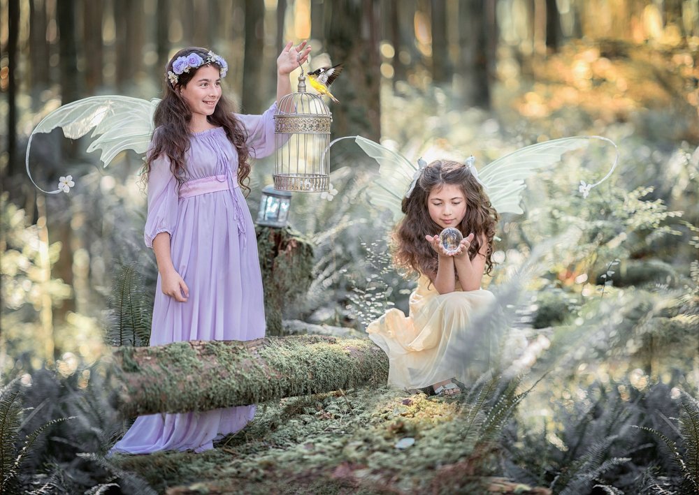 Forest Fairies