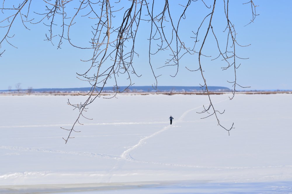 Photograph by Ирина Ященко
