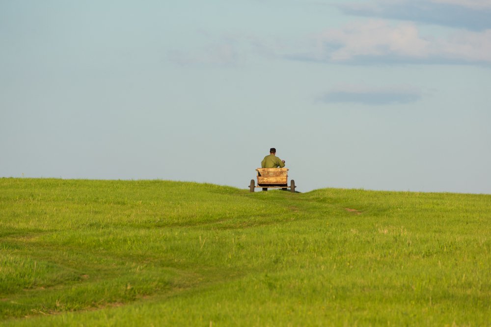 Один в поле...