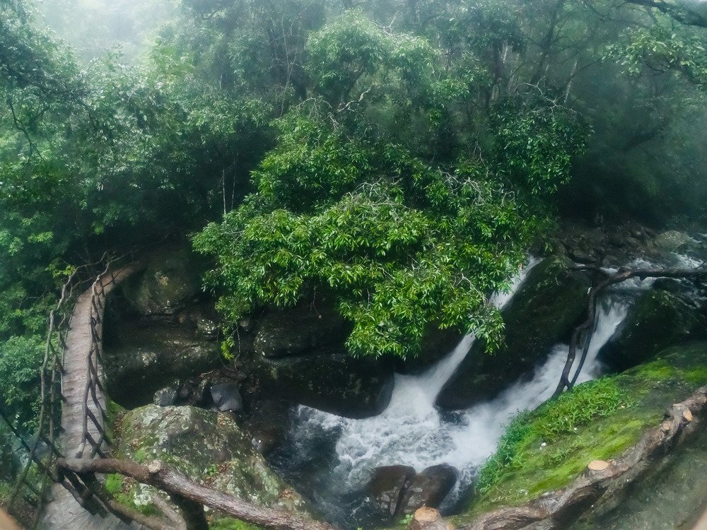 Photograph by Iranga Paranagama