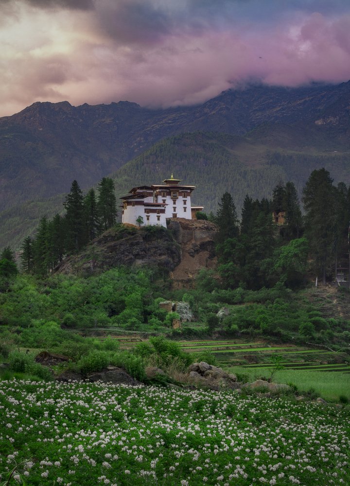 The fortress of victory