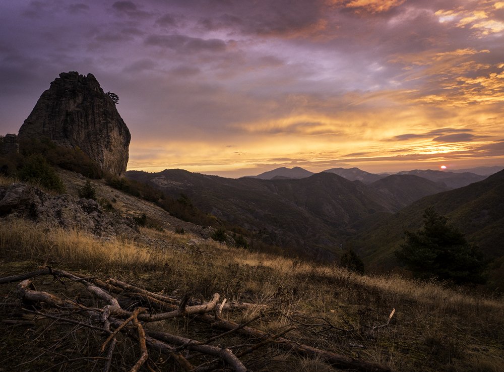 Photograph by Светлана Михалкова