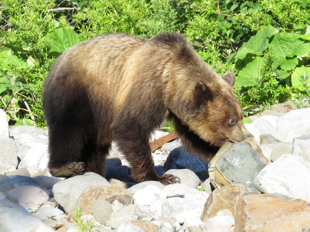 Таможенная проверка