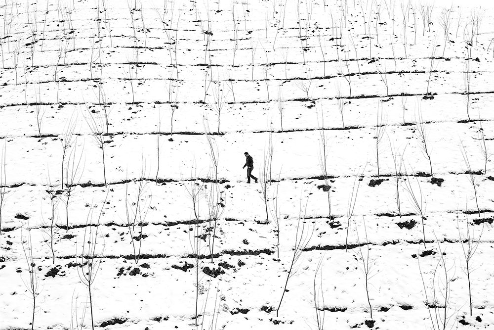 Photograph by Alireza Shahnazi