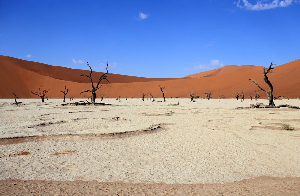 Deadvlei Namibia