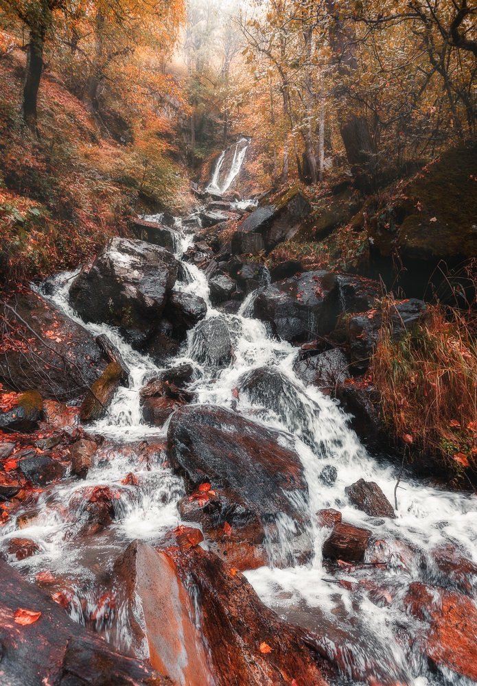 Photograph by Сергей Шабанов