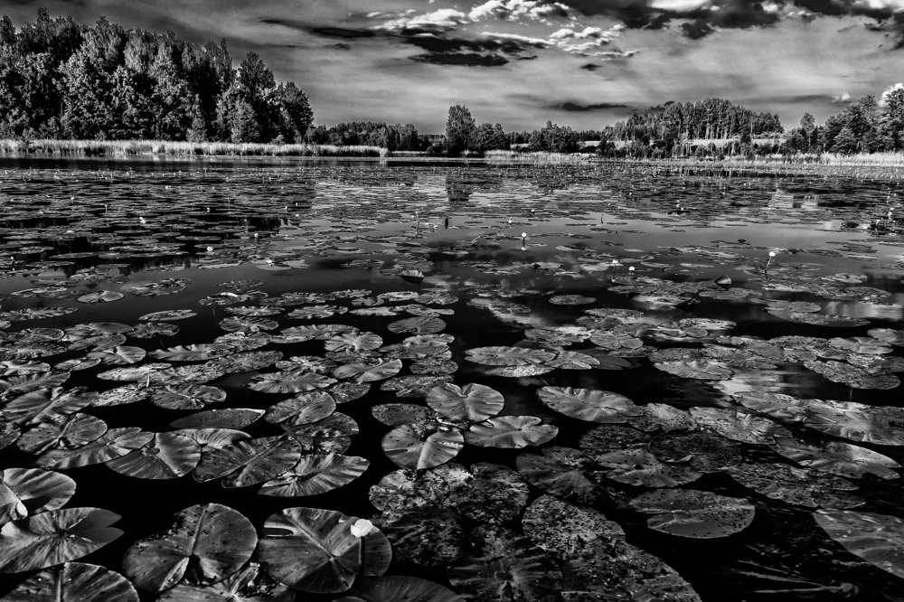 Photograph by Gaļina