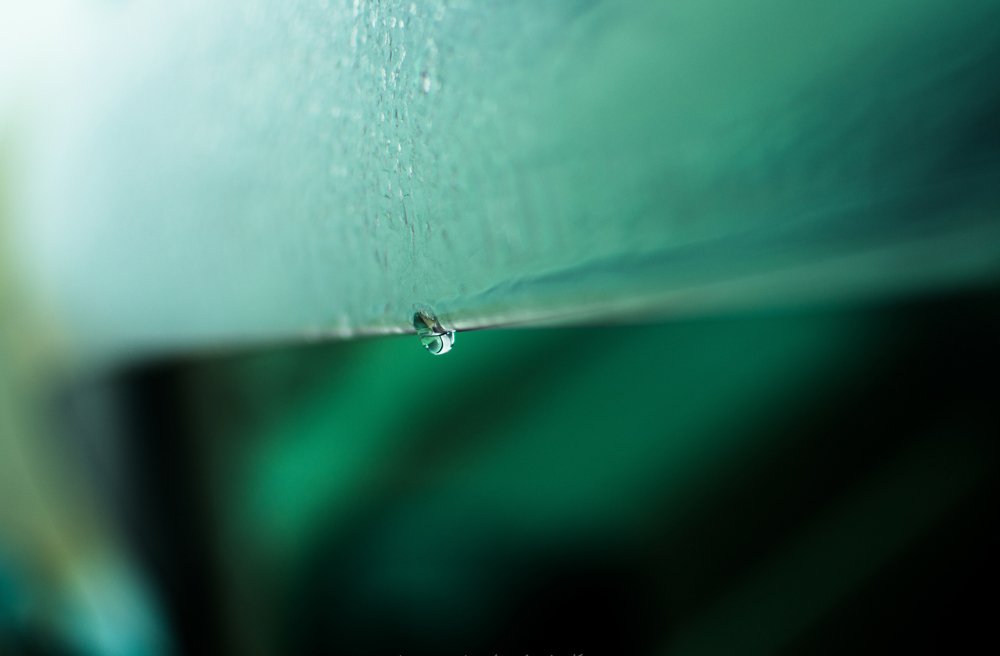 Photograph by Виталий Курин