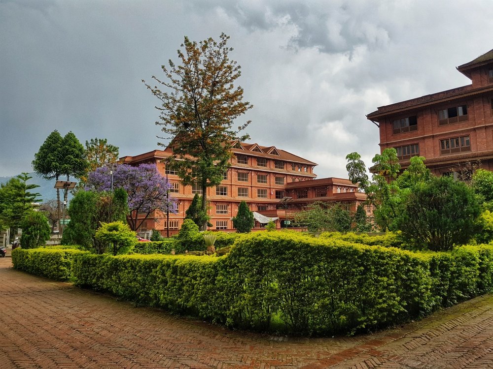 After a rainy afternoon.