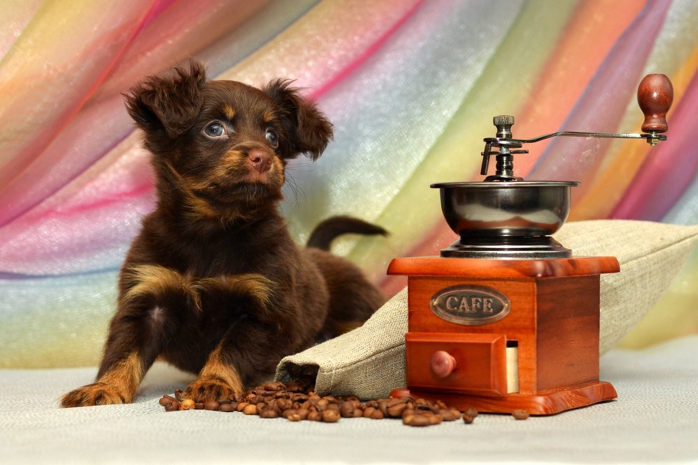 Утренний кофе.