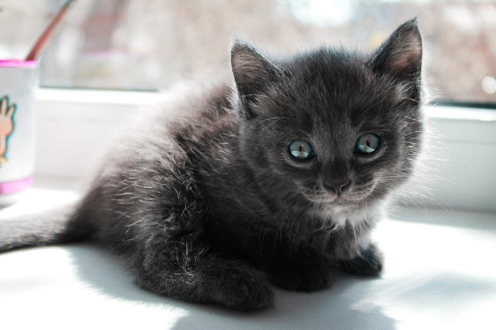 Photograph by Яна