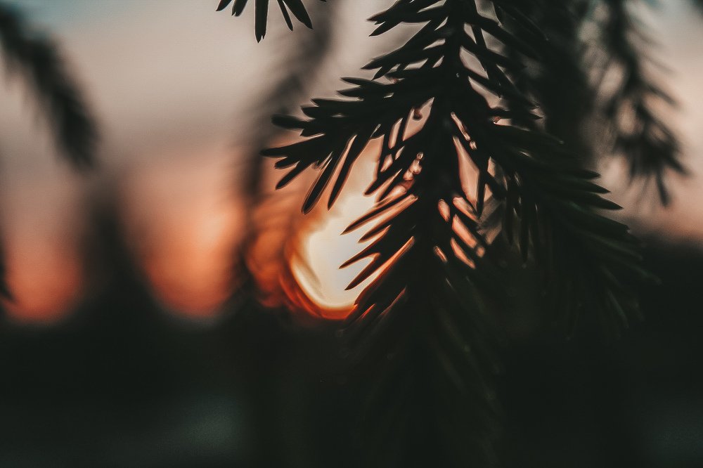 Photograph by Яна