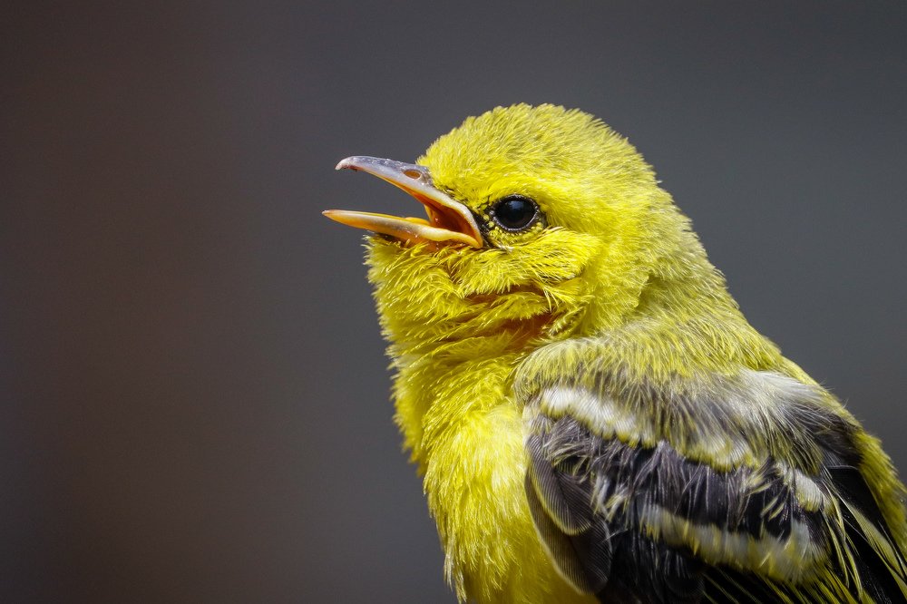 Photograph by Tamim E Mohamad Genius