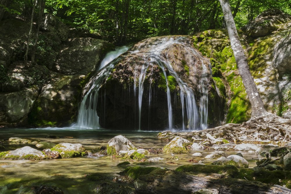 Чудо-юдо, рыба-кит