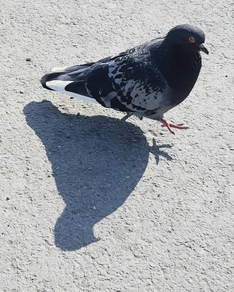 Раз, два левой...