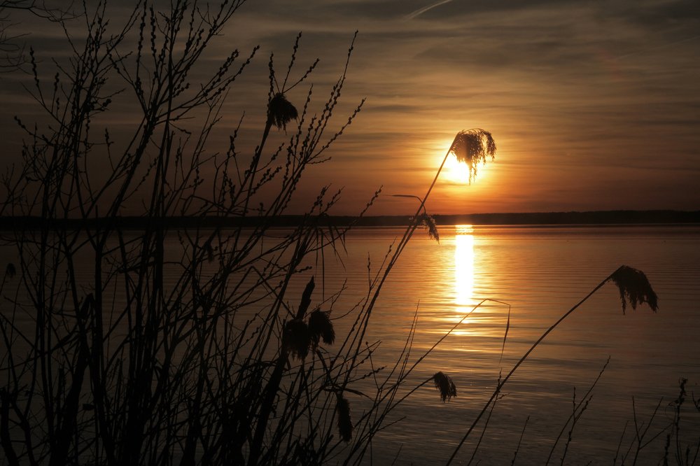 Photograph by Dzianis Mizhui