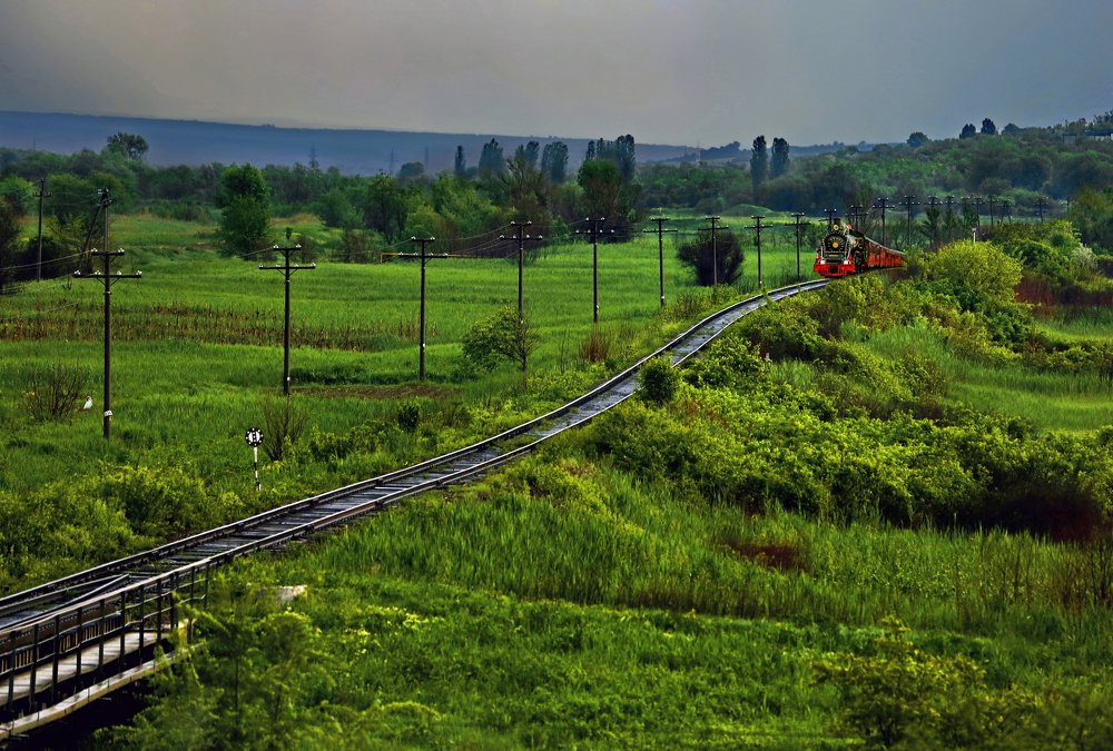 Любимый рейс