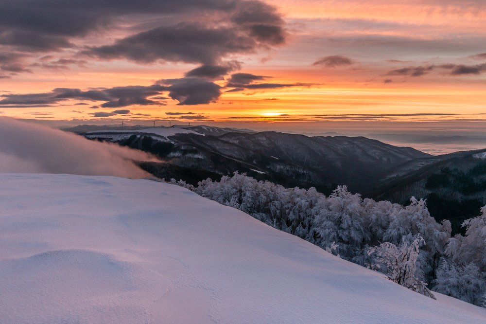 Photograph by Jeni Vladeva