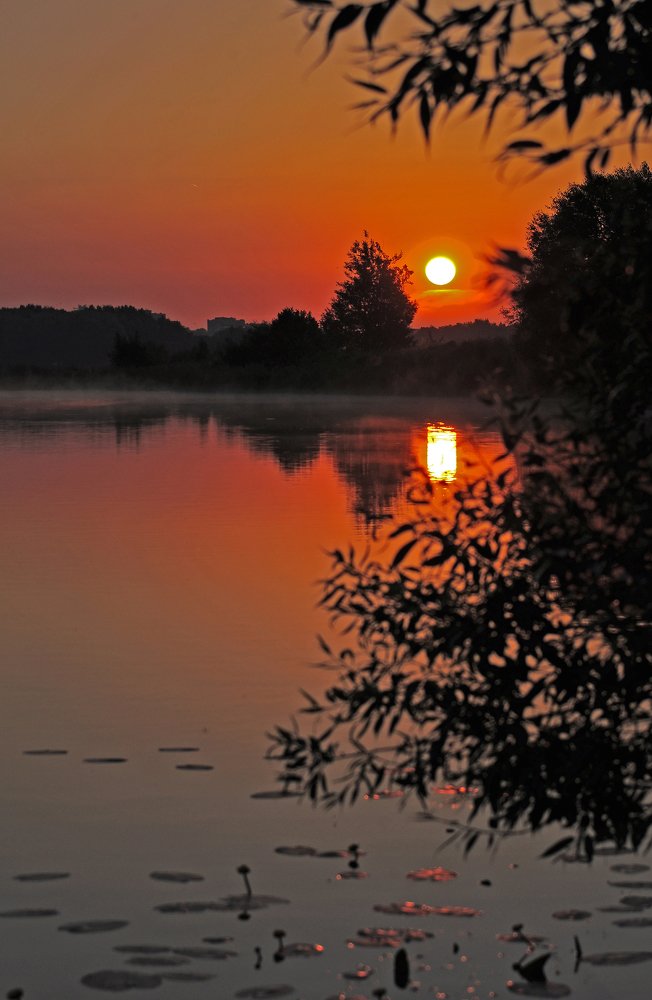 Фотография автора Антип