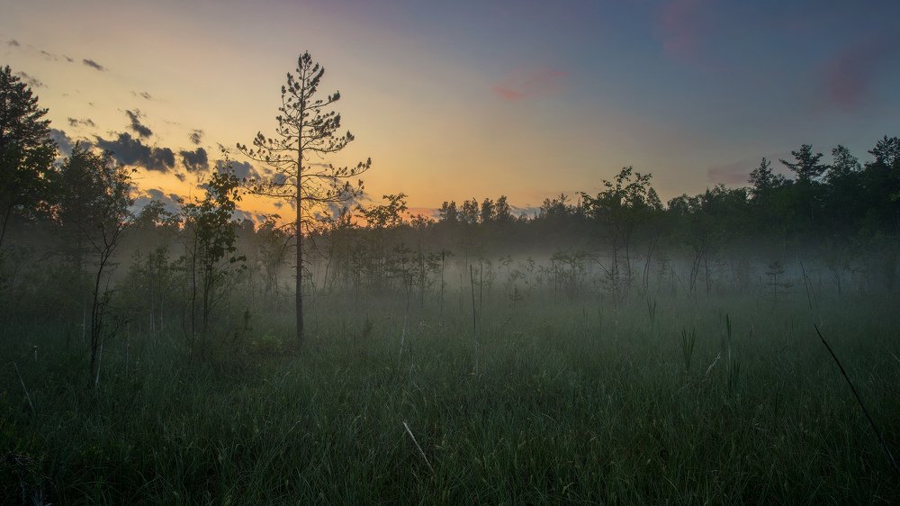 Густой туман
