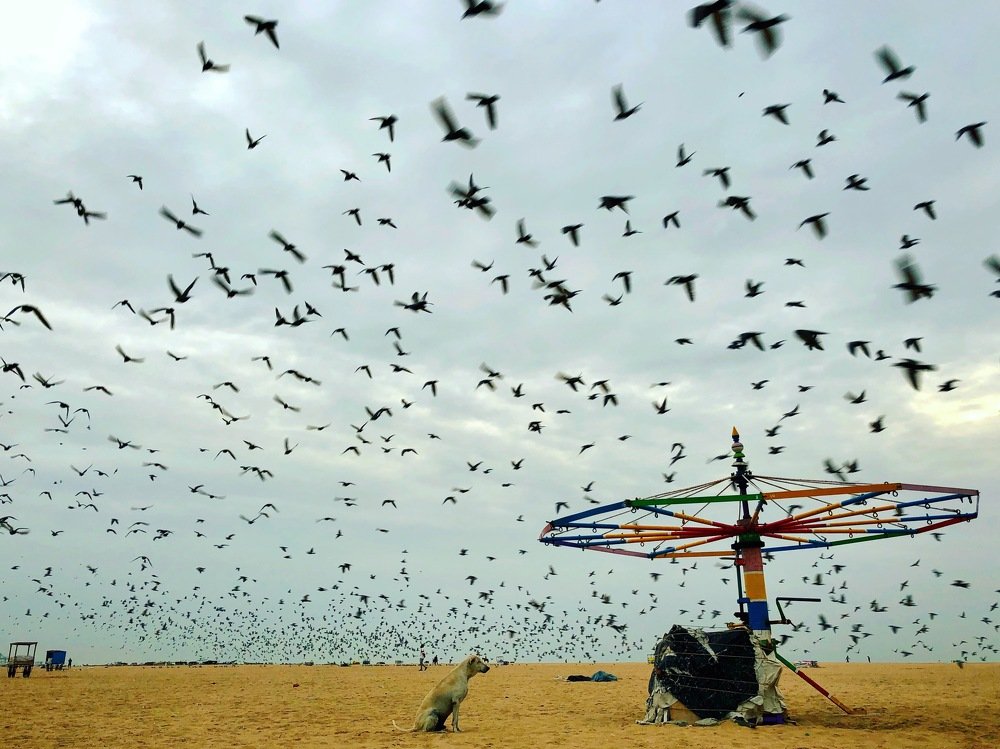 Waiting for Merry Go Round