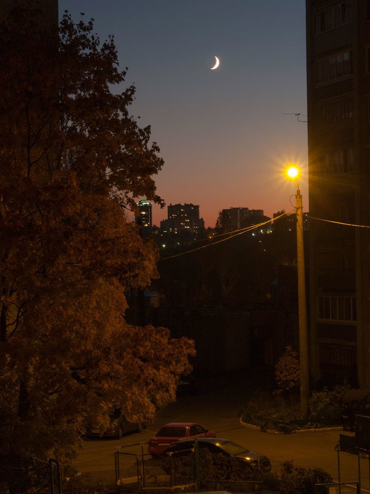 Ночь.Луна.Фонарь.