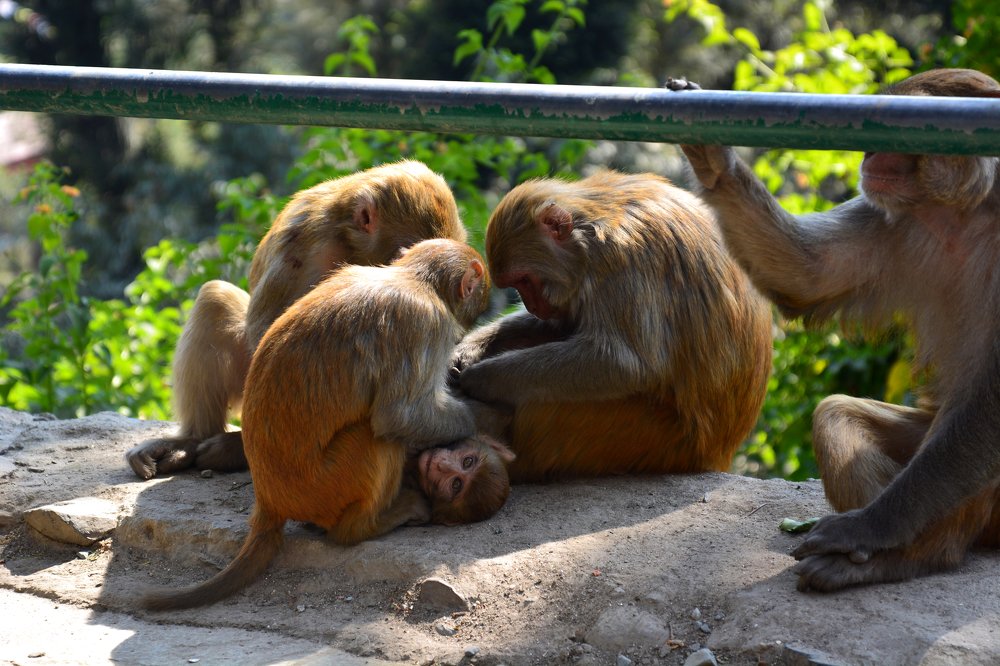 Photograph by Анатолий Орлов