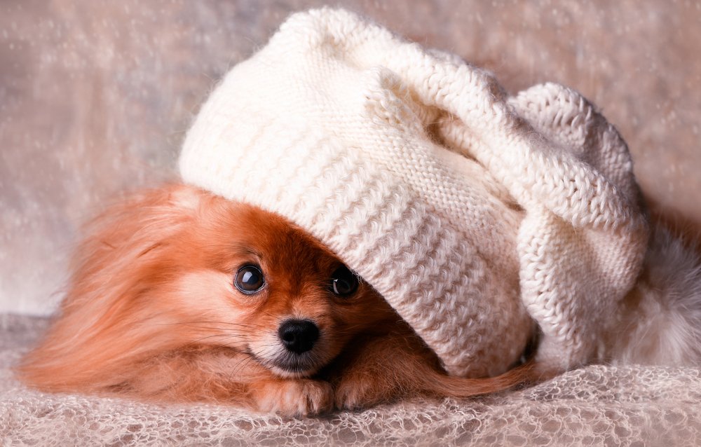 Photograph by Светлана Попоудина