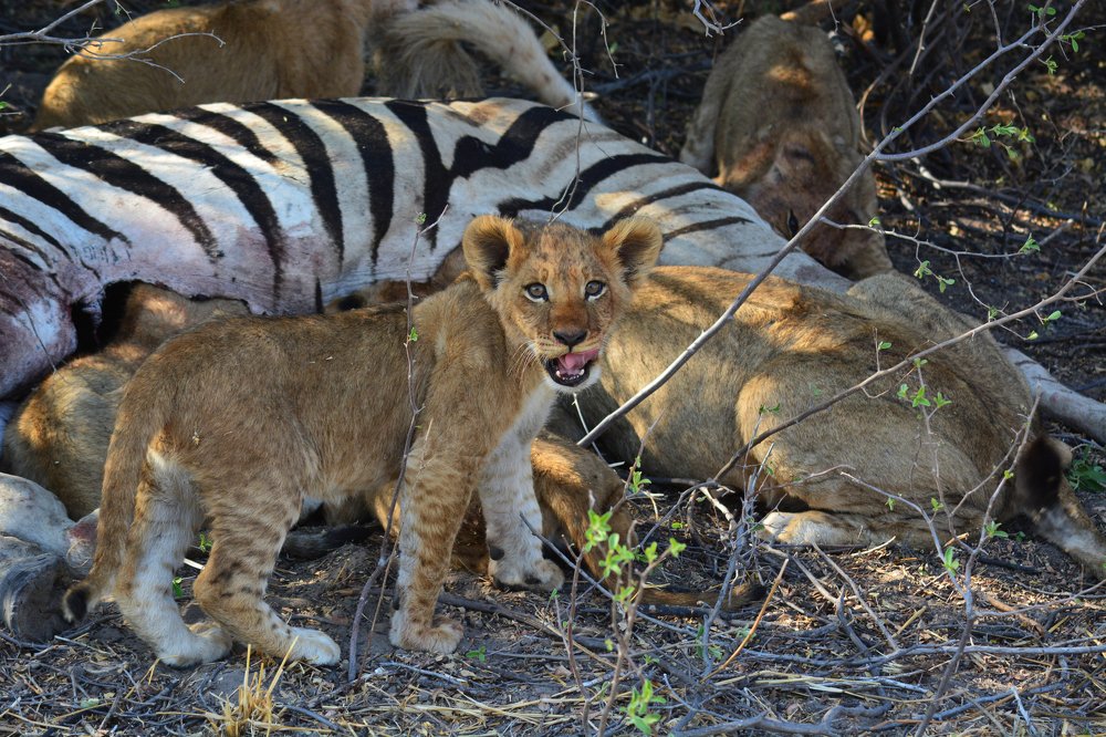 Photograph by Анатолий Орлов