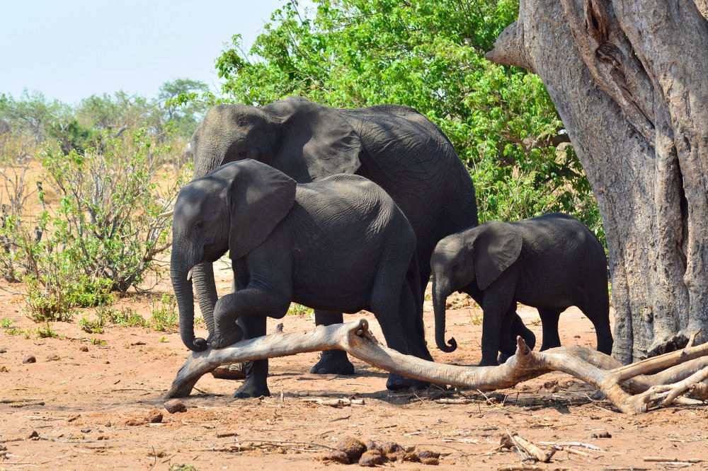 Photograph by Анатолий Орлов