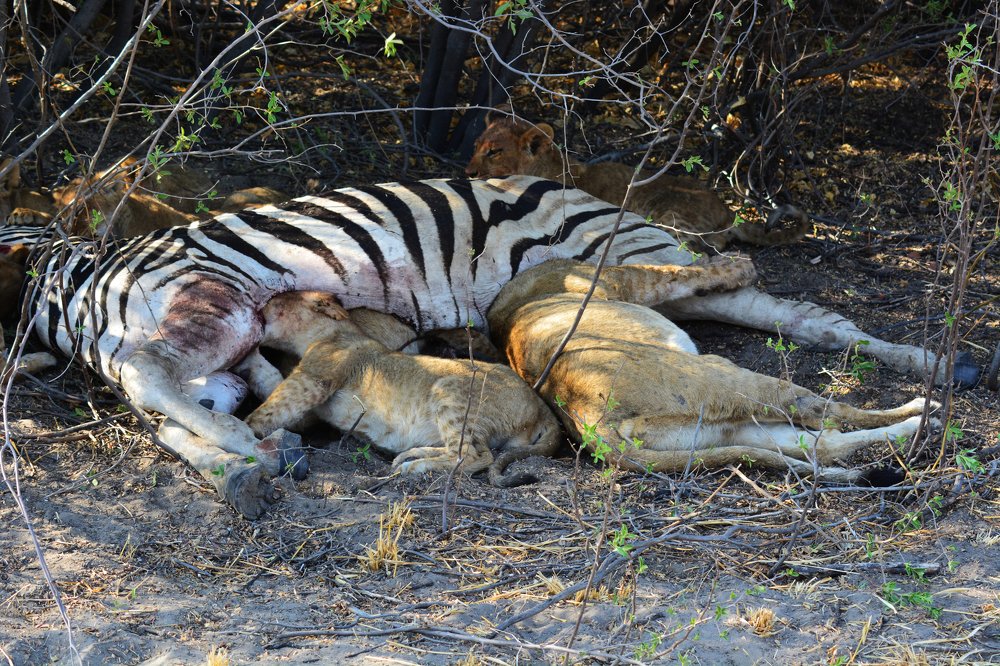 Photograph by Анатолий Орлов