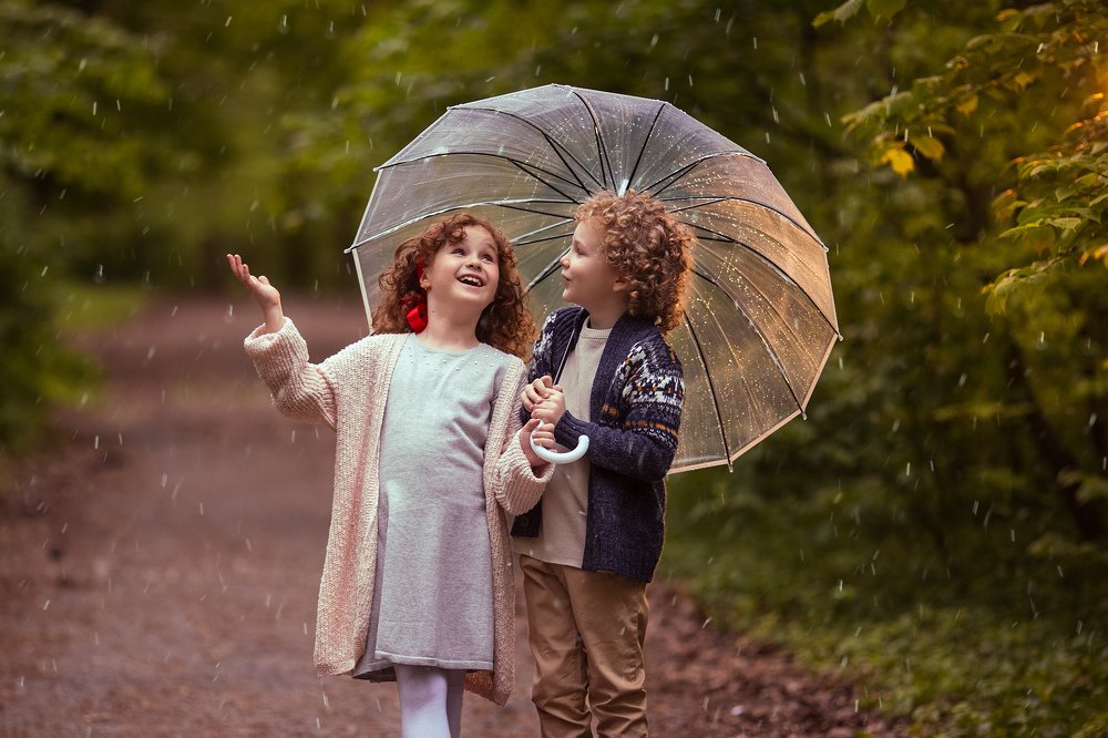 Дождливый день