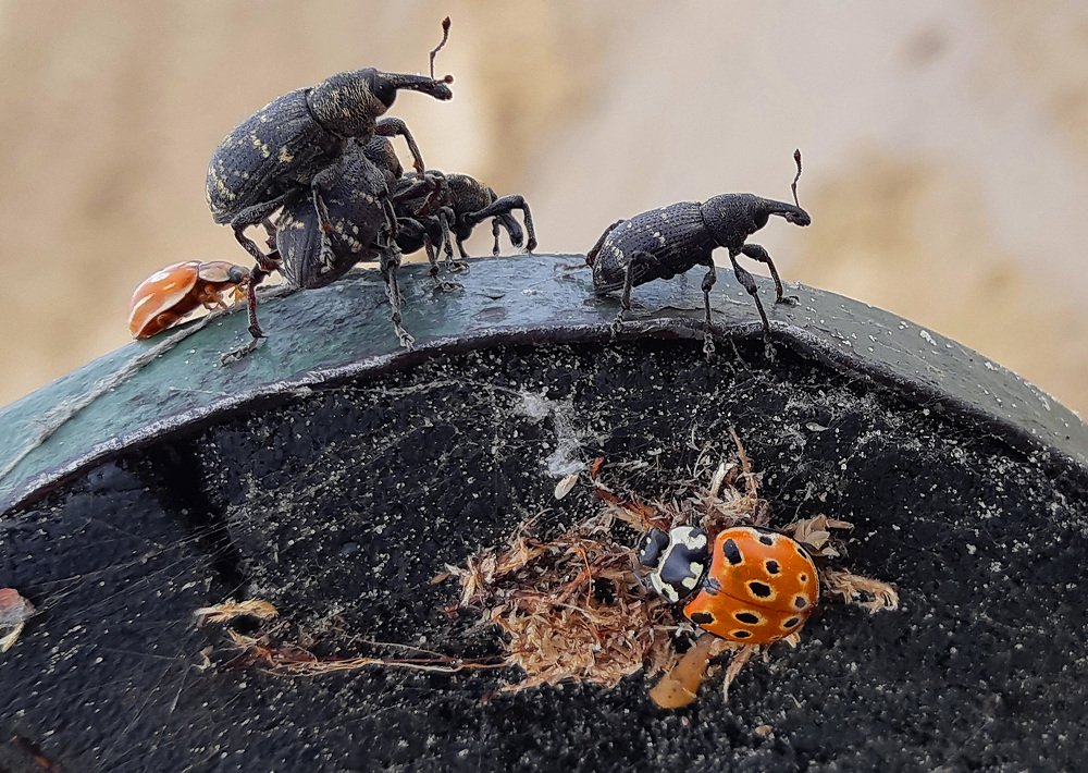 Первые тёплые деньки.