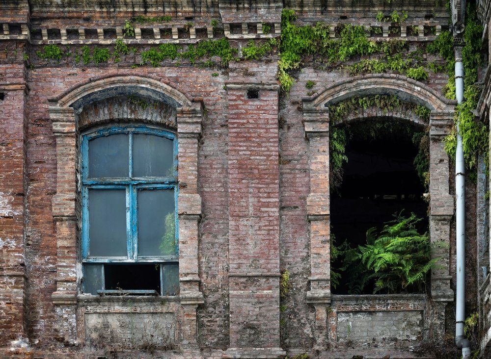 Freedom and Isolation!