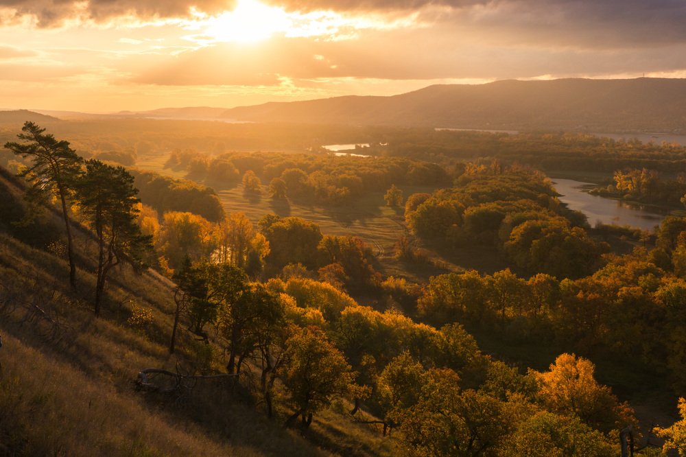 Золотой рассвет